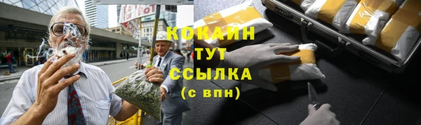 сатива Абинск