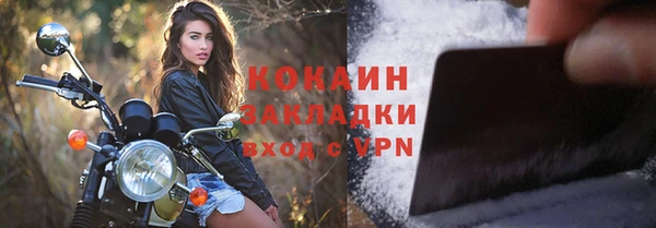 прущий лед Алзамай
