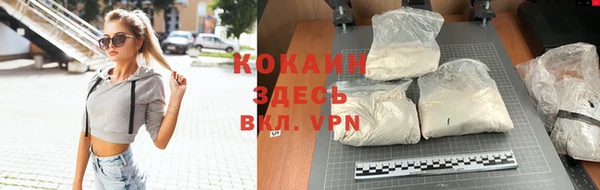 трава Абаза