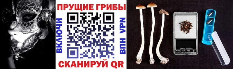 Псилоцибиновые грибы мухоморы  Чулым 